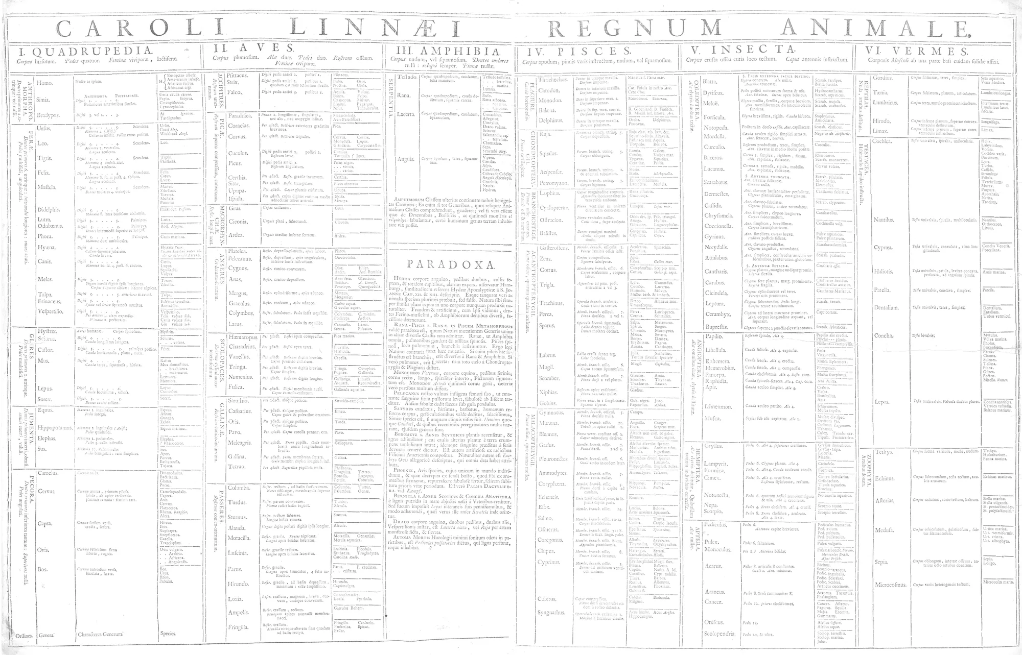 The table Regnum Animale of the first edition, its two pages joined.