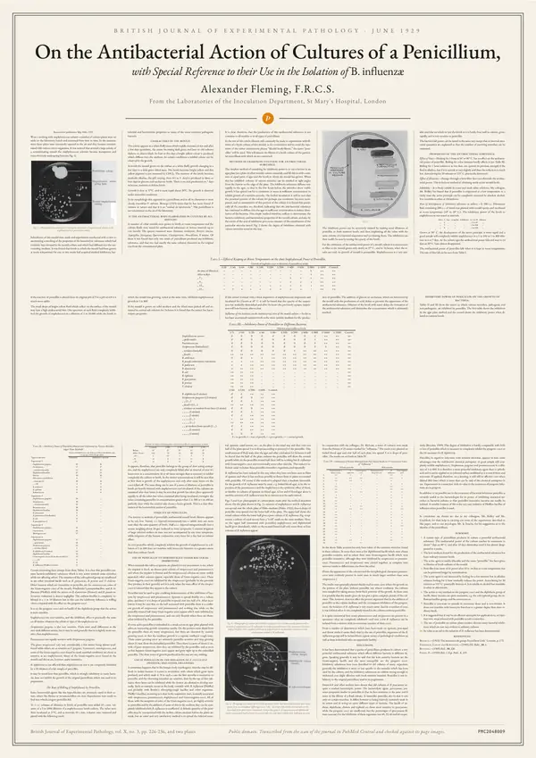 Poster of “On the Antibacterial Action of Cultures of a Penicillium, with Special Reference to their Use in the Isolation of B. influenzæ”: the text in five columns